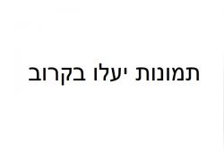 מבנה פאנל דגם GB להשכרה